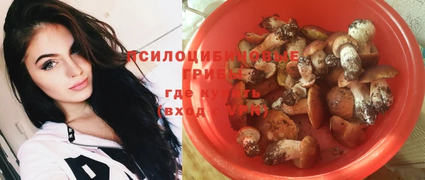 прущие крисы Зеленокумск